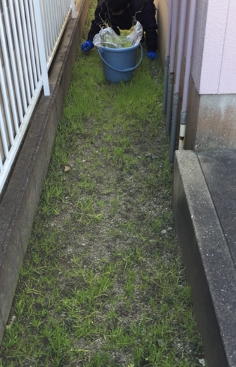 外回りキレイキレイ