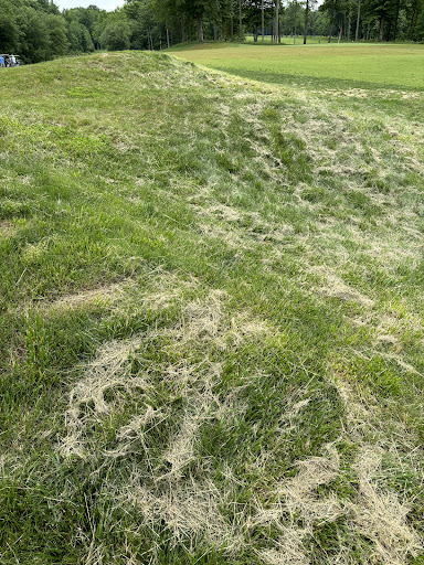 The Preserve at Eisenhower - Thumbnail