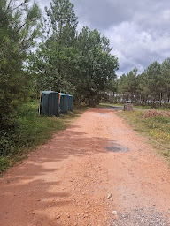 Photo n°15 de Camping Lou Pk2 à Sainte-Eulalie-en-Born (Réserve naturelle)