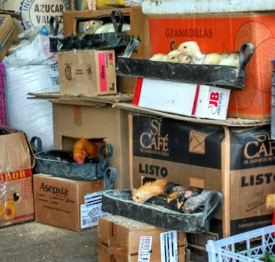 Photos of Feria Libre - A large market