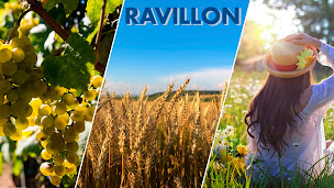 Photo n°11 de RAVILLON MUIZON à Muizon (Magasin de matériel de motoculture)