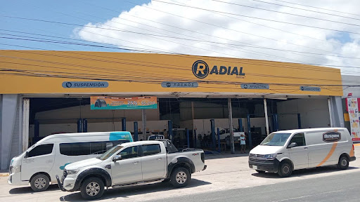 Radial Tires