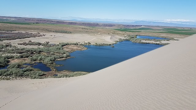 Bruneau Dunes State Park