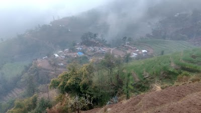Photos of Naulo Organic Resort