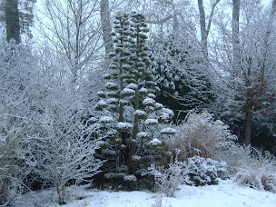 Photo n°1 de ART & PAYSAGE à Frichemesnil (Entrepreneur)