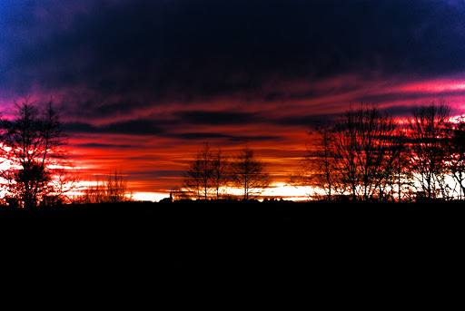 Martls Welt - Visual