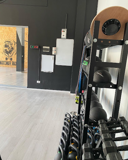 COBRA LAB Gallery - Italy