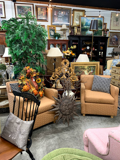 Ditto Consignment - Thumbnail