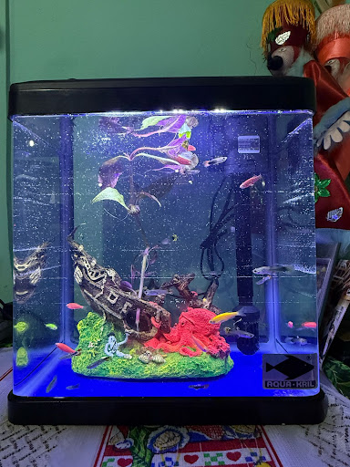 Acuario AQUA LUZ