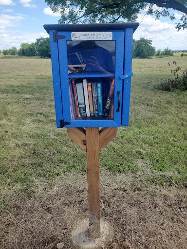 Birdhouse library box - take one, leave one - Thumbnail