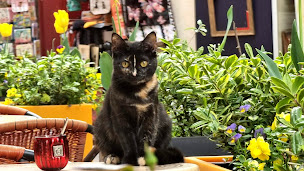 Photo n°6 de Cocoon'Age à Orange (Ludothèque)