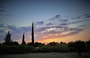 Photo n°9 de La Maison du Chemin des Prairies à Morières-lès-Avignon (Chambre d'hôtes)