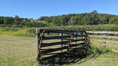 American Gothic Barn