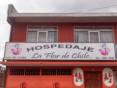 Photos of Hospedaje La Flor De Chile