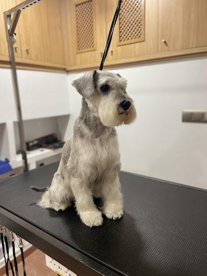 Peluqueria canina Pompas