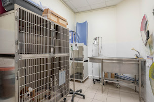 Photo n°11 de Clinique vétérinaire Paris 18 - Picard - Sevetys à Paris (Vétérinaire)