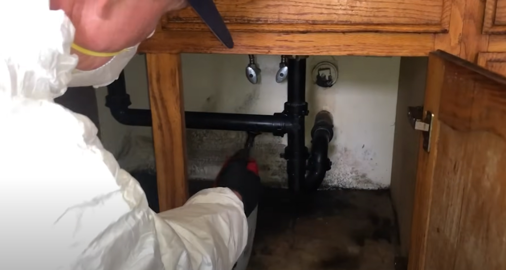 Urgent Mold Removal San Diego photo