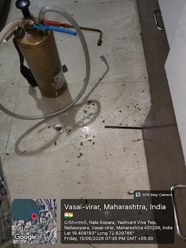 Gallery image 42