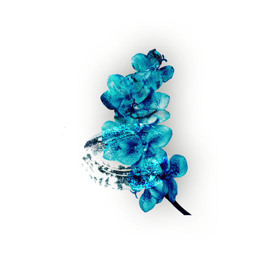 Lily's Laser & Aesthetics