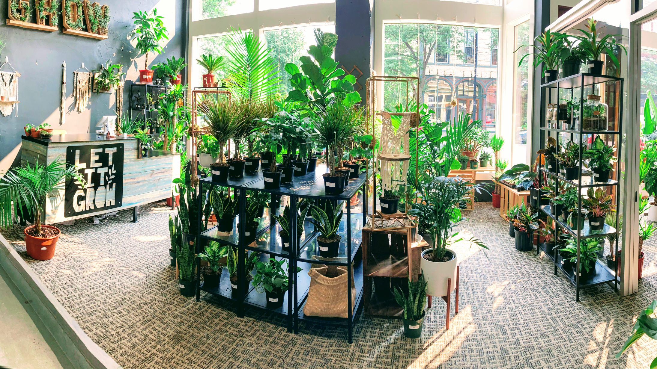 Let it Grow Allegan
