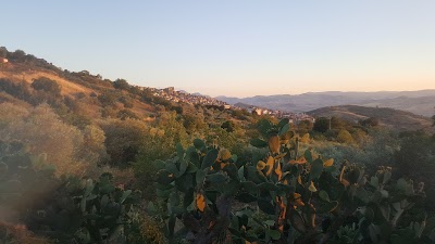Photos of Villa Della Mimosa
