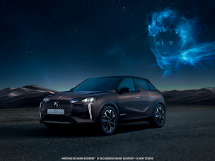 Photo n°4 de DS SALON AJACCIO à Ajaccio (Atelier de réparation automobile)