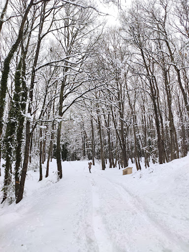 Bosco di San Marco In Lamis