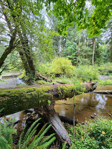 Van Duzer Rest Area - Visual