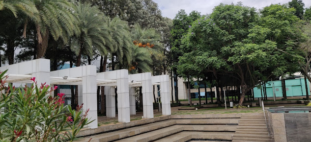 Af1qipmmpltmygdxgc3nbhdrkrsynv4zghzeevt6z8 F=s633 K No