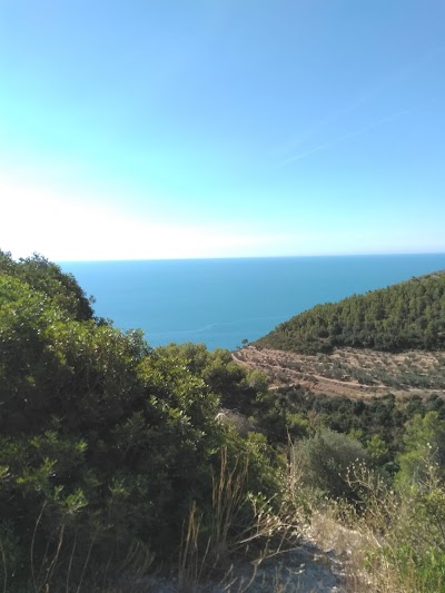 Photos of Hotel Atleti