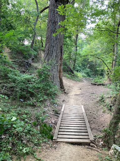 Rowlett Creek - Dallas County Nature Preserve - Thumbnail