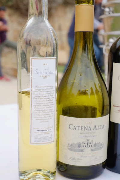 Photos of Bodega Catena Zapata