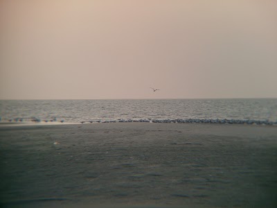 Photos of 2nd Island (SL)