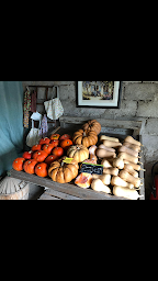 Photo n°4 de Les jardins de papé à Sérignan-du-Comtat (Maraîcher)