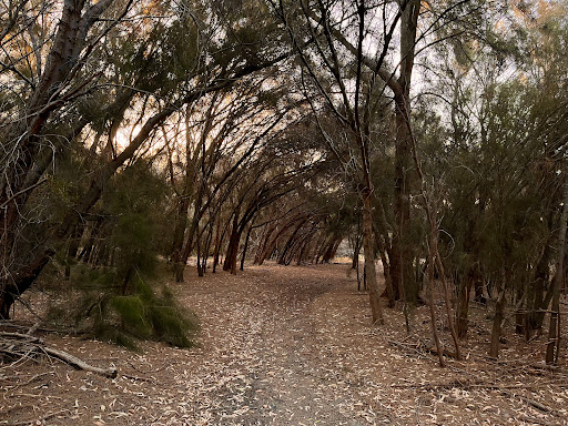 Ayres Bushland - Thumbnail