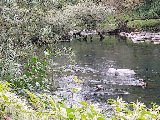 The Taff Trail - Thumbnail