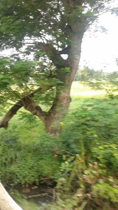 Photos of Pothuhera