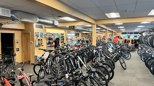 Gregg's Lynnwood Cycle - Thumbnail