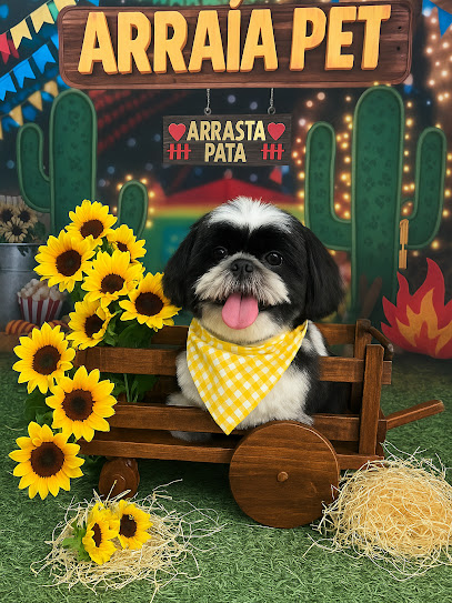 MM Pet Banho & Tosa