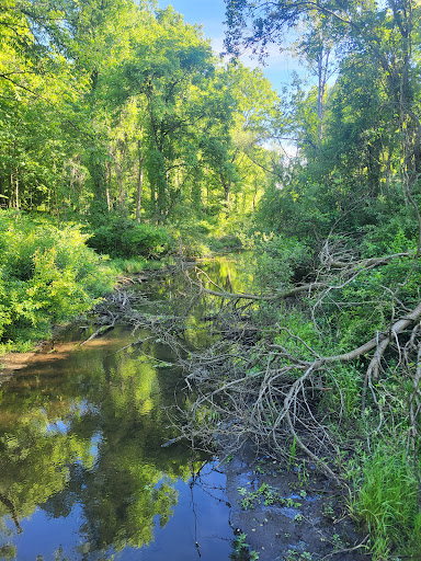Lakeview Kiwanis Outdoor Center - Thumbnail