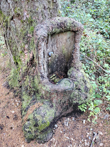 Huff ’n’ Puff Trail - Thumbnail