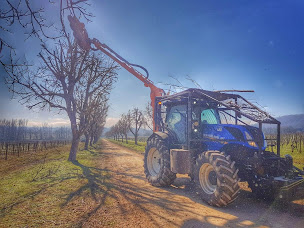 Photo n°2 de Sarl Cayrou perspectives à Fumel (Service d'élagage)