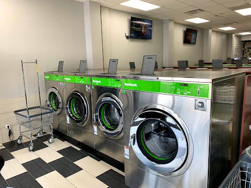 Fiestar Laundry - Visual
