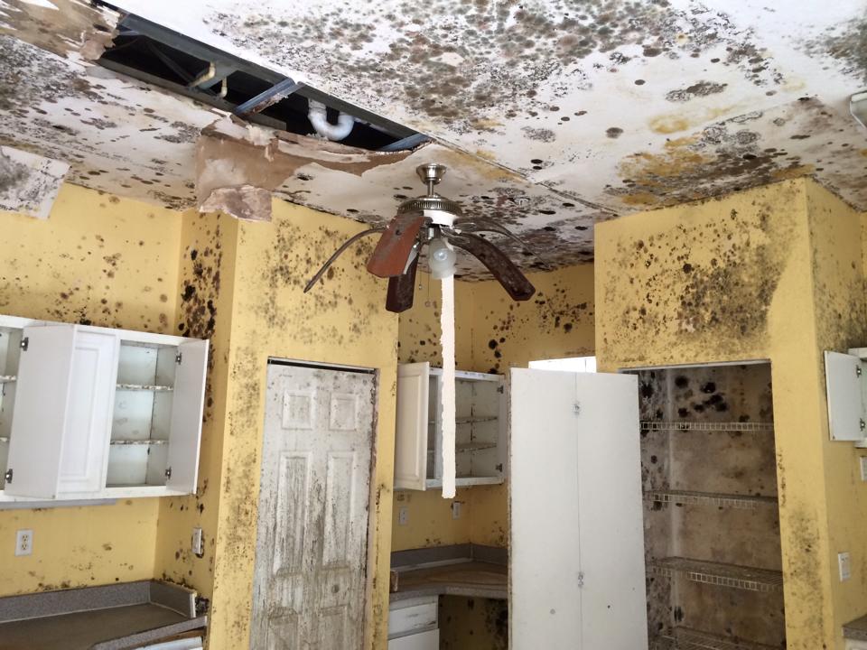Air & Surface Disinfection photo