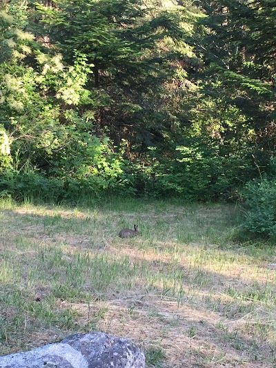 Beauty Creek Campground