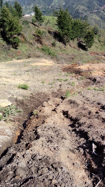 Photos of Ciudadela - Museo Pablo Jaramillo