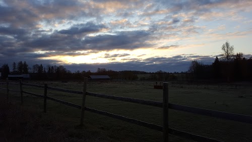 Endla Raba Raja Algus