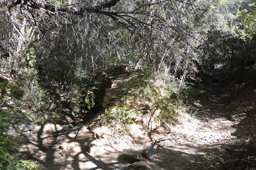 Apache Spring