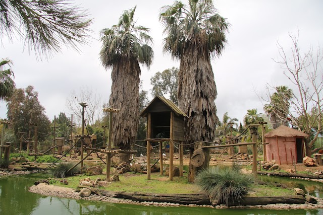 LAGOS ZOO