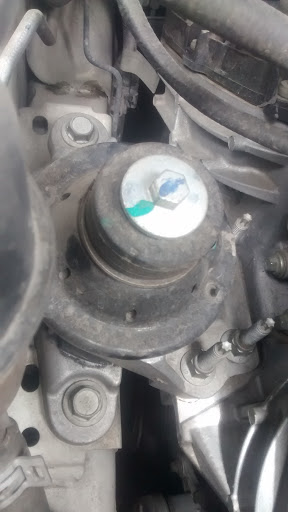 Auto Servicio Rosales
